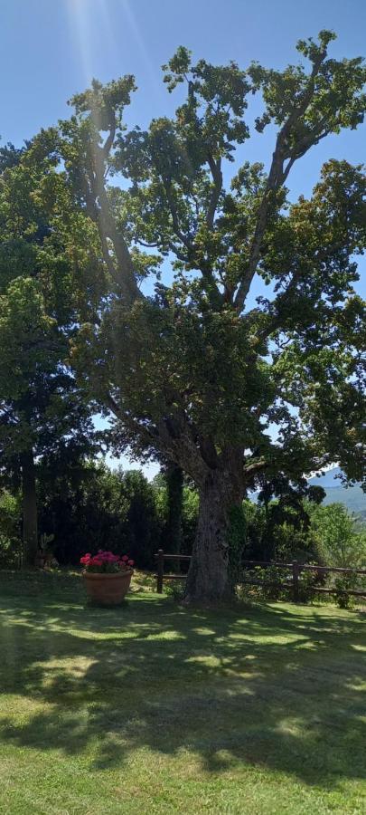 Poggio Al Sole Fiesole Exterior foto