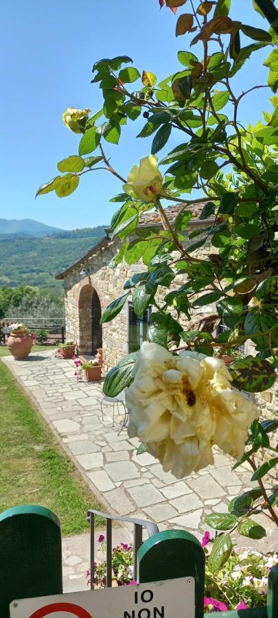 Poggio Al Sole Fiesole Exterior foto
